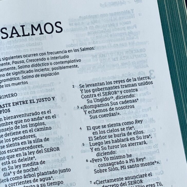 ¿Cuál es la diferencia entre "manejar" y "conducir" en español? (Inmersión profunda) – Todas las diferencias