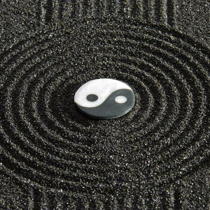 ¿Hay alguna diferencia entre Yin y Yang? (Elige tu bando) – Todas las diferencias ¿Hay alguna diferencia entre Yin y Yang? (Elige tu bando) – Todas las diferencias