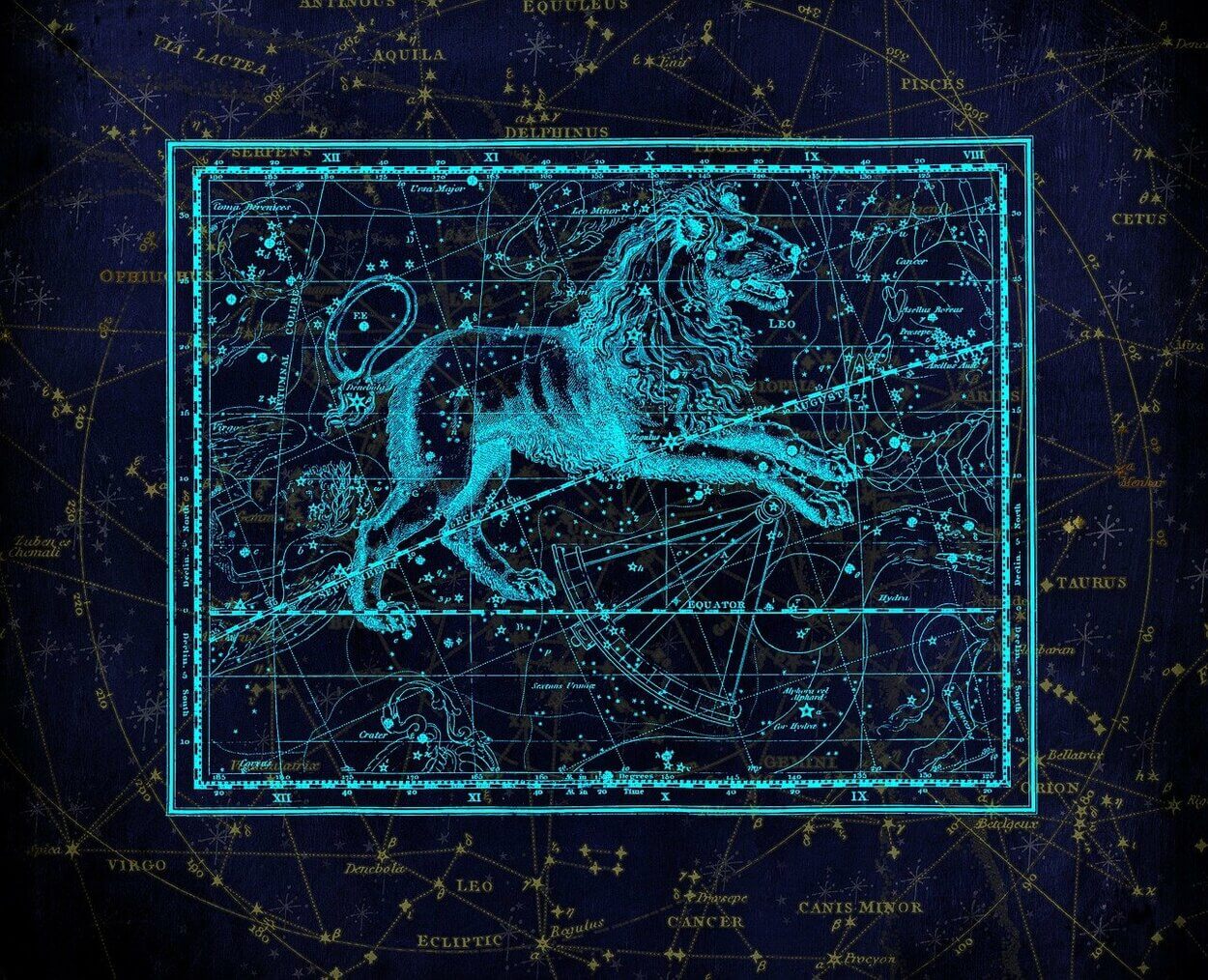 Una imagen de un símbolo del signo zodiacal Leo.