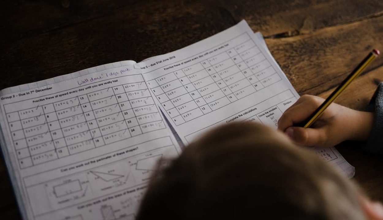 diferencia vectorial y tensorial