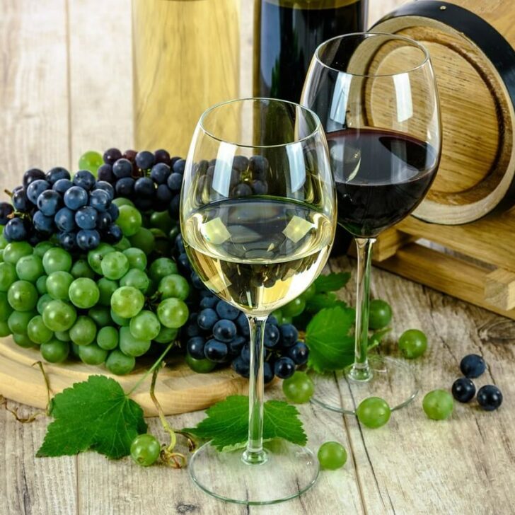 La diferencia entre un Riesling, Pinot Gris, Pinot Grigio y un Sauvignon Blanc (descrito) – Todas las diferencias