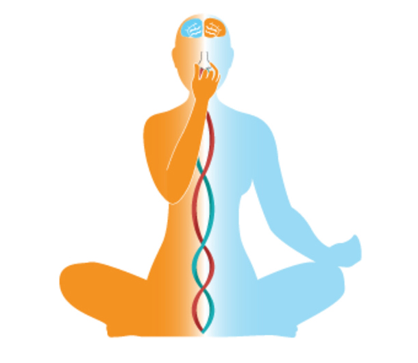 Diferencia entre respiración y pranayama 2 Pranayama