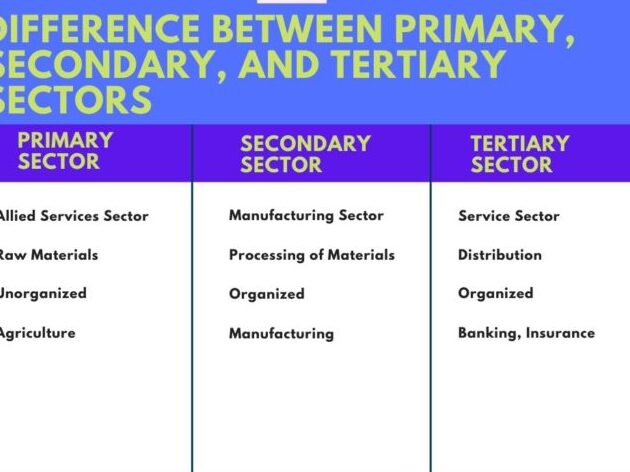 10 Diferencia entre datos primarios y secundarios con tabla
