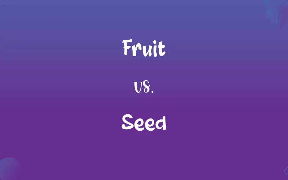 10 diferencias asombrosas entre frutas y semillas con tabla de comparación 10 diferencias asombrosas entre frutas y semillas con tabla de comparación