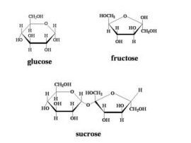 10 diferencias asombrosas entre la glucosa y la sacarosa con la tabla