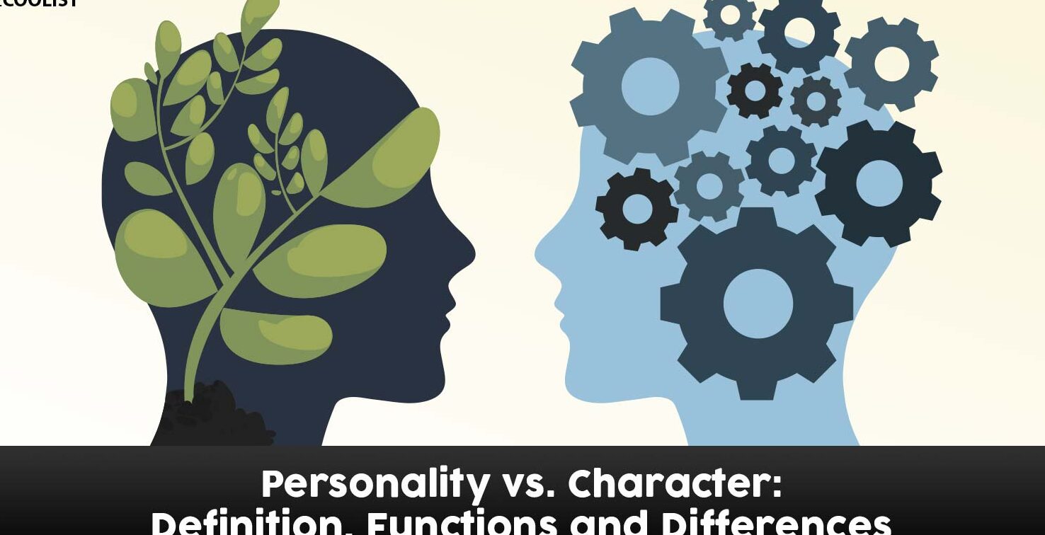 10 diferencias cruciales entre personalidad y carácter 10 diferencias cruciales entre personalidad y carácter