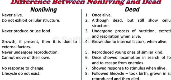 10 Diferencias entre seres vivos y no vivos con tabla comparativa