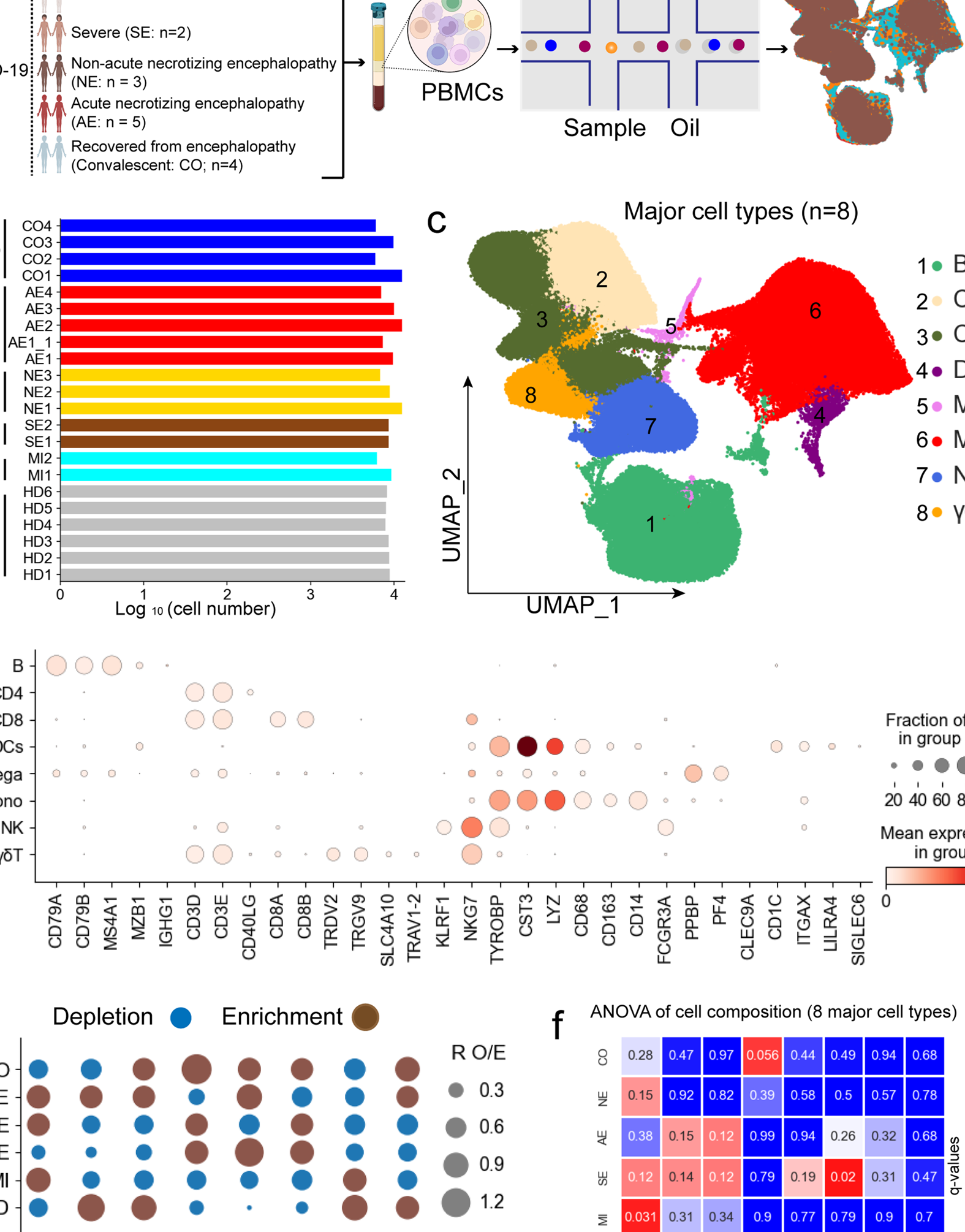 10 diferencias honestas entre la inmunidad humoral y la mediada por células