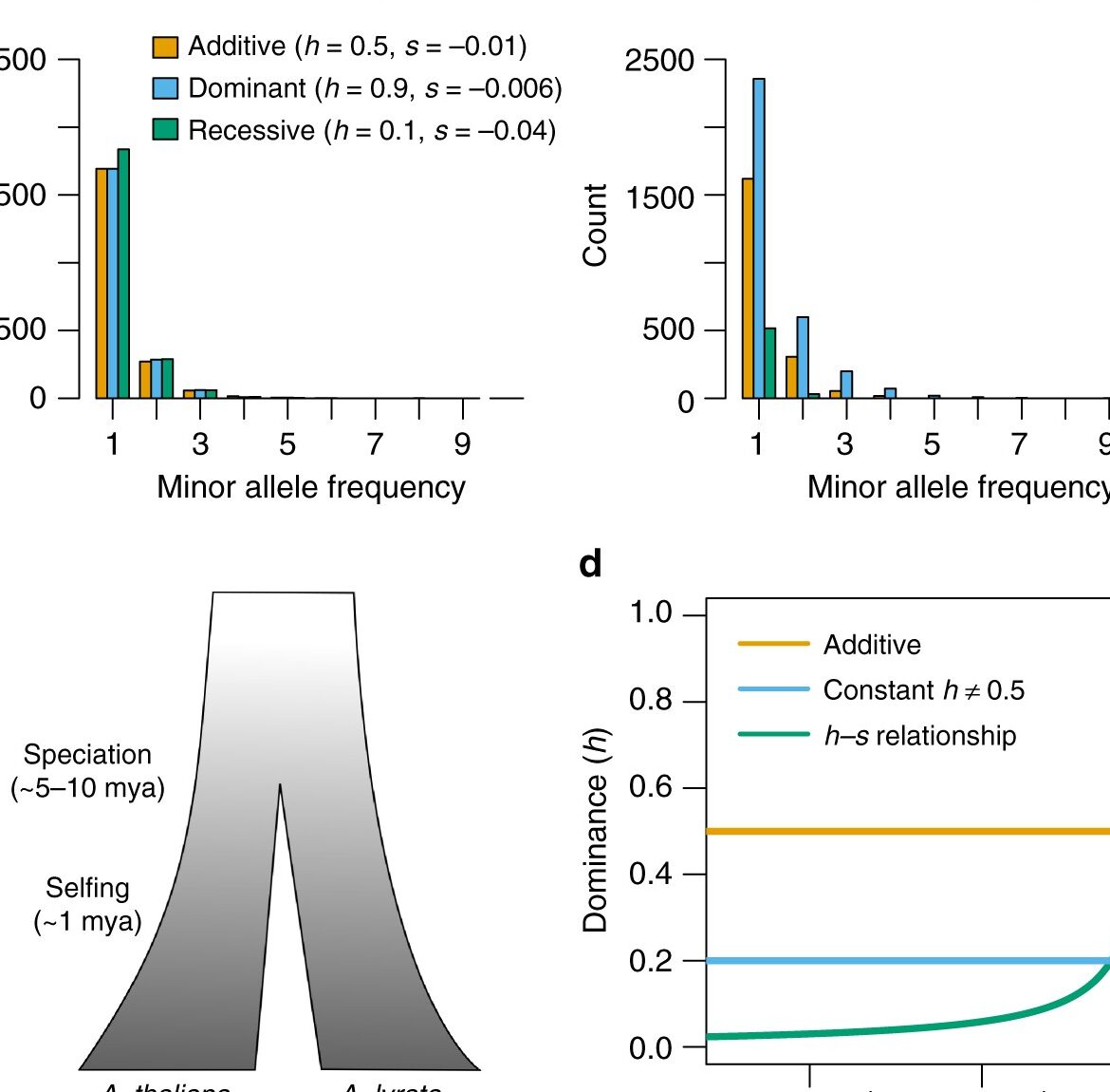 10 diferencias importantes entre alelo y rasgo con tabla 10 diferencias importantes entre alelo y rasgo con tabla