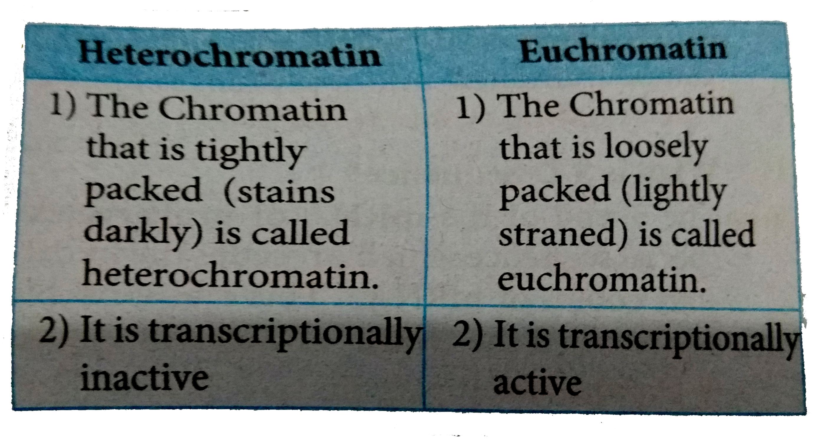 12 Interesante diferencia entre heterocromatina y eucromatina 12 Interesante diferencia entre heterocromatina y eucromatina