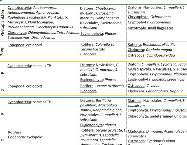 12 Principales diferencias entre fitoplancton y zooplancton con tabla 12 Principales diferencias entre fitoplancton y zooplancton con tabla