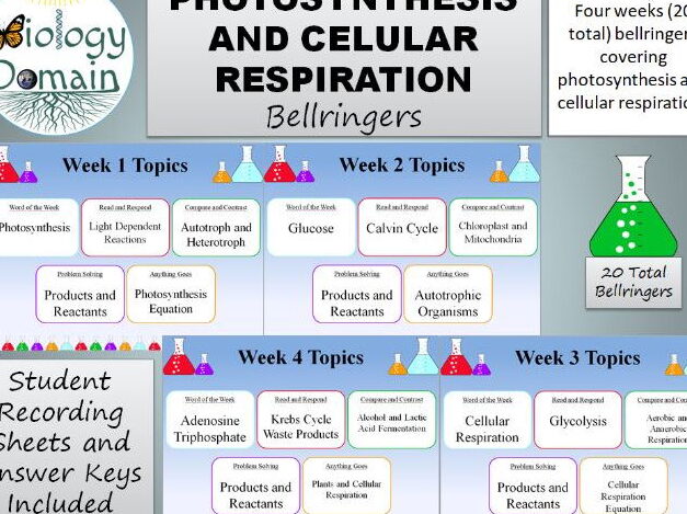 14 Diferencia procesable entre la respiración celular y la fotosíntesis