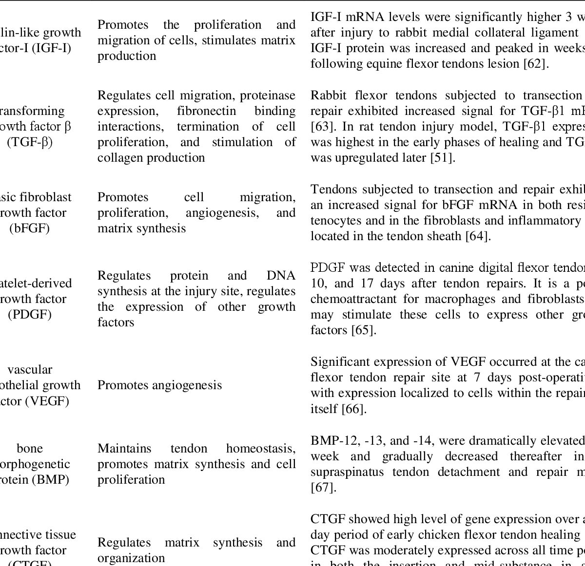 14 diferencias entre tendón y ligamento (con tabla)