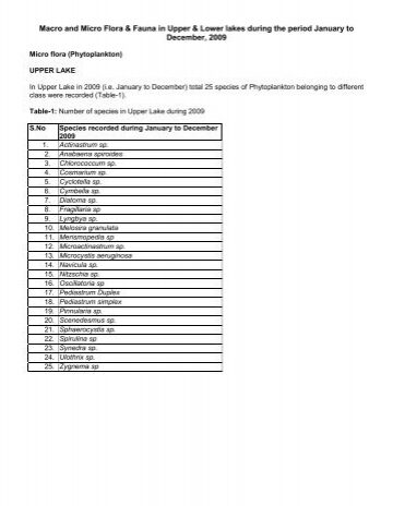 14 Principales Diferencias entre Flora y Fauna con Tabla