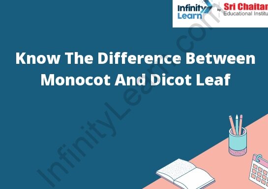 17 Diferencia estructural entre la hoja monocotiledónea y la hoja dicotiledónea en forma tabular 17 Diferencia estructural entre la hoja monocotiledónea y la hoja dicotiledónea en forma tabular