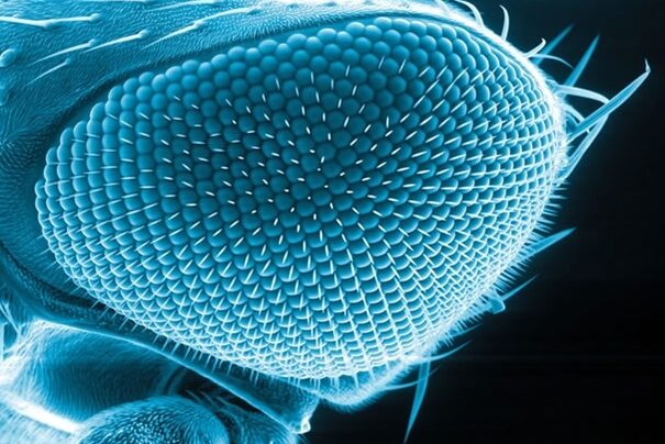 20 Diferencia entre microscopio óptico y microscopio electrónico (con mesa) 20 Diferencia entre microscopio óptico y microscopio electrónico (con mesa)