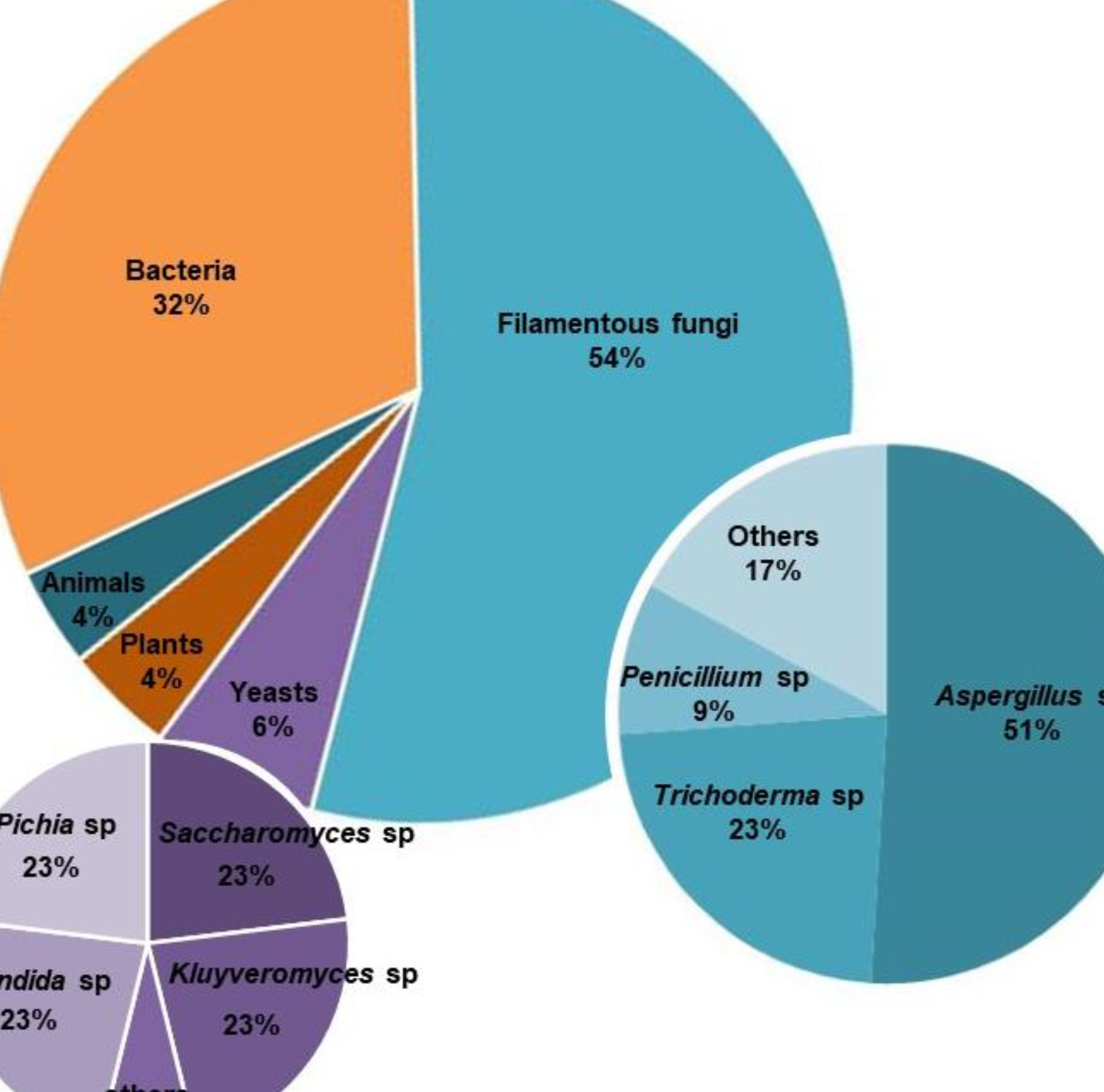 21 Diferencia entre Bacterias y Hongos (Con Tabla)