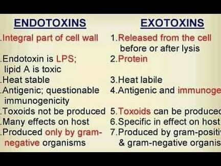 29 Diferencias entre exotoxinas y endotoxinas (con tabla)
