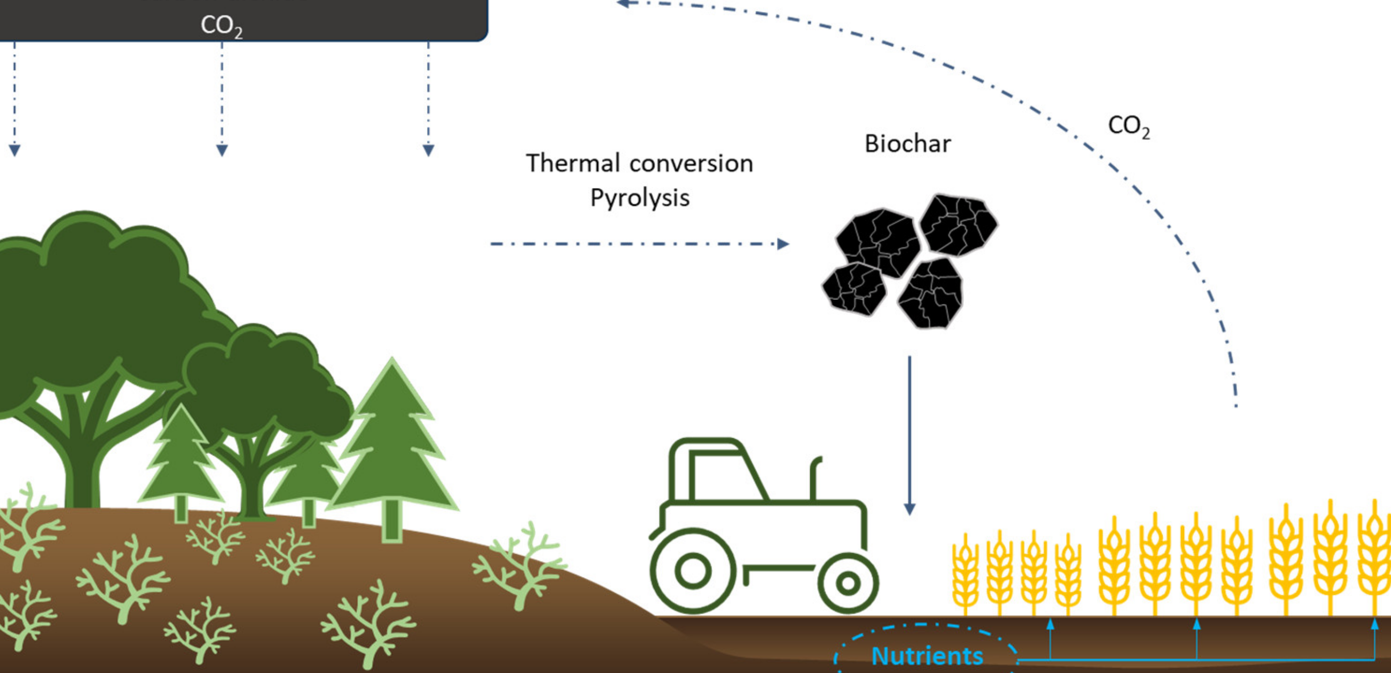 5 diferencias principales entre biocarbono y carbono fósil con tabla 5 diferencias principales entre biocarbono y carbono fósil con tabla