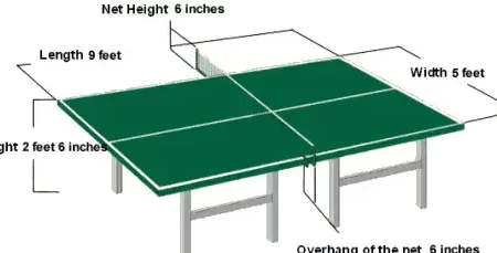 6 Diferencia entre longitud y altura (con tabla)
