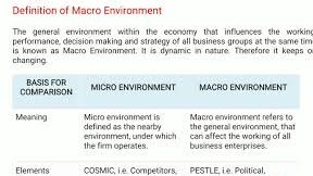 6 Diferencia Interesante entre Micro y Macro Entorno (Entorno Empresarial)