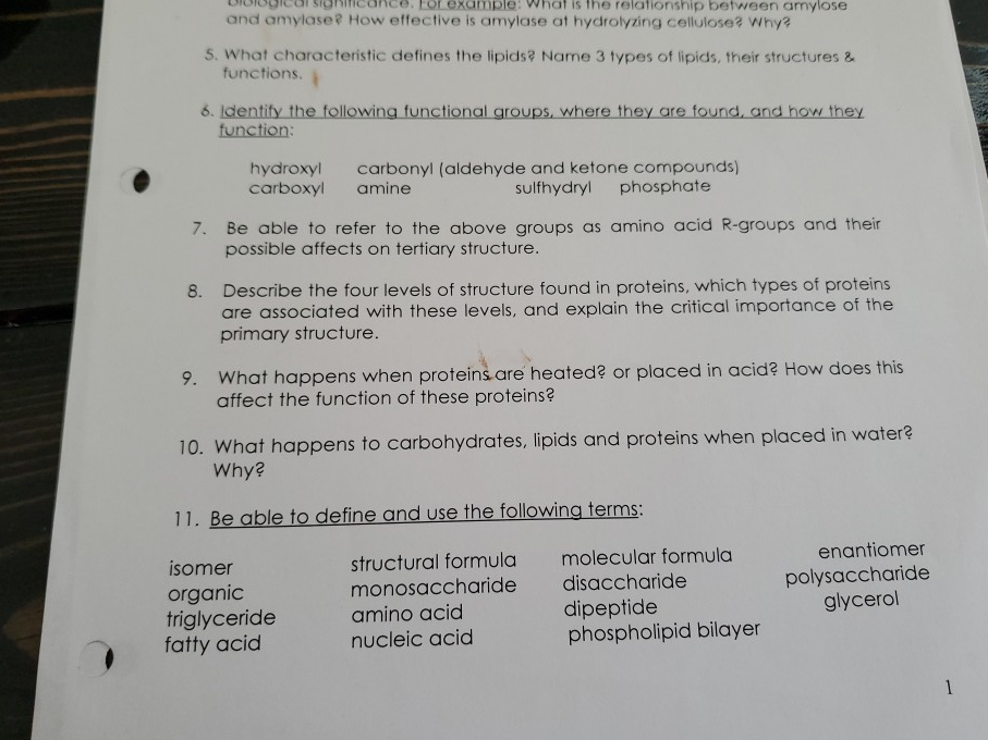 7 diferencia crítica entre amilasa y amilosa