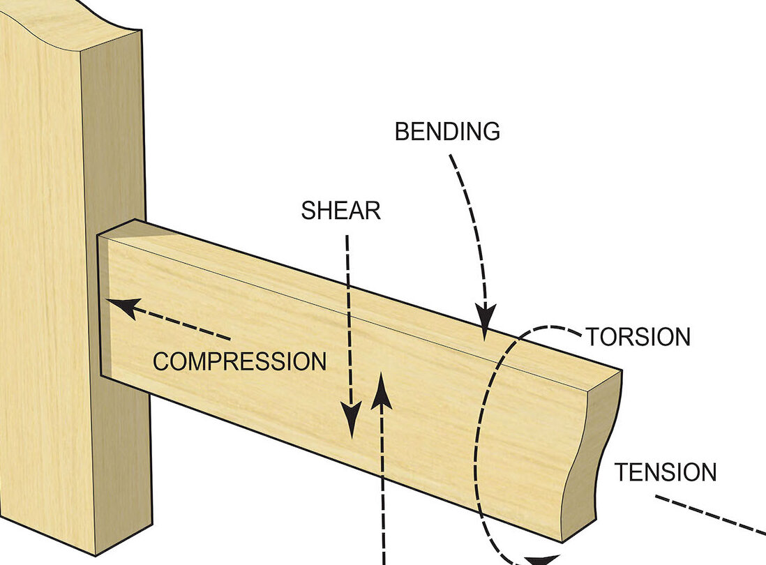 7 Diferencia entre madera de compresión y madera de tensión (con mesa)