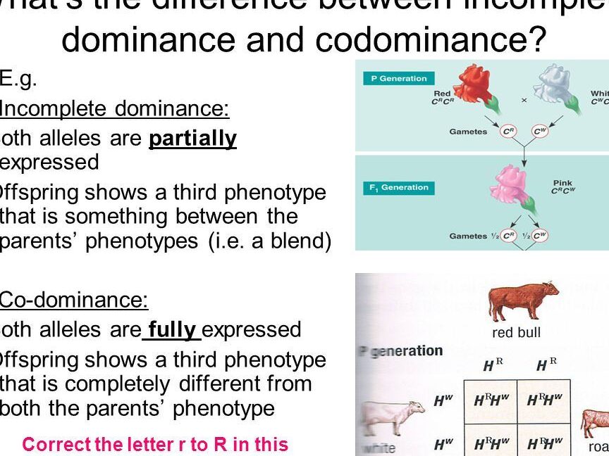 8 Diferencia entre codominancia y dominancia incompleta con tabla