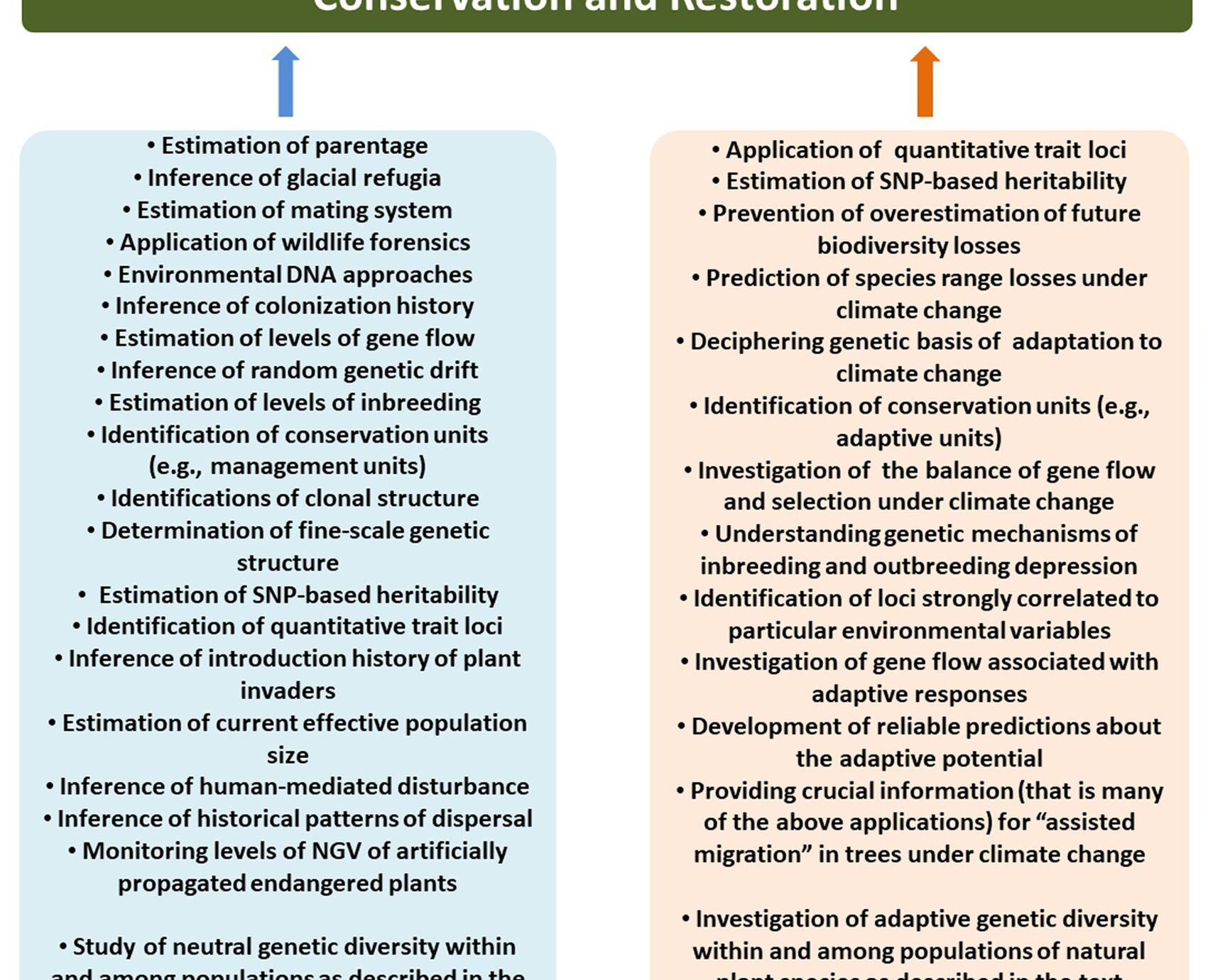 8 Diferencia principal entre gen y alelo con tabla