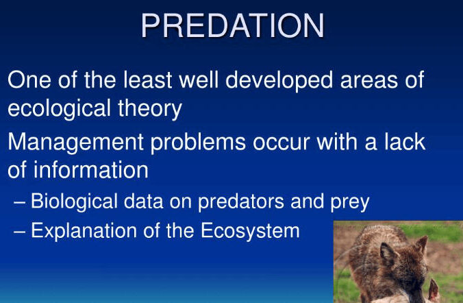 9 Diferencias importantes entre depredación y parasitismo con ejemplos