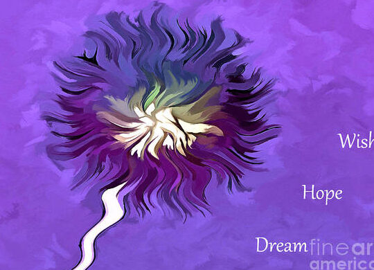 ¿Cómo describiría la diferencia entre una esperanza, un deseo y un sueño? (Explicación detallada) – Todas las diferencias ¿Cómo describiría la diferencia entre una esperanza, un deseo y un sueño? (Explicación detallada) – Todas las diferencias