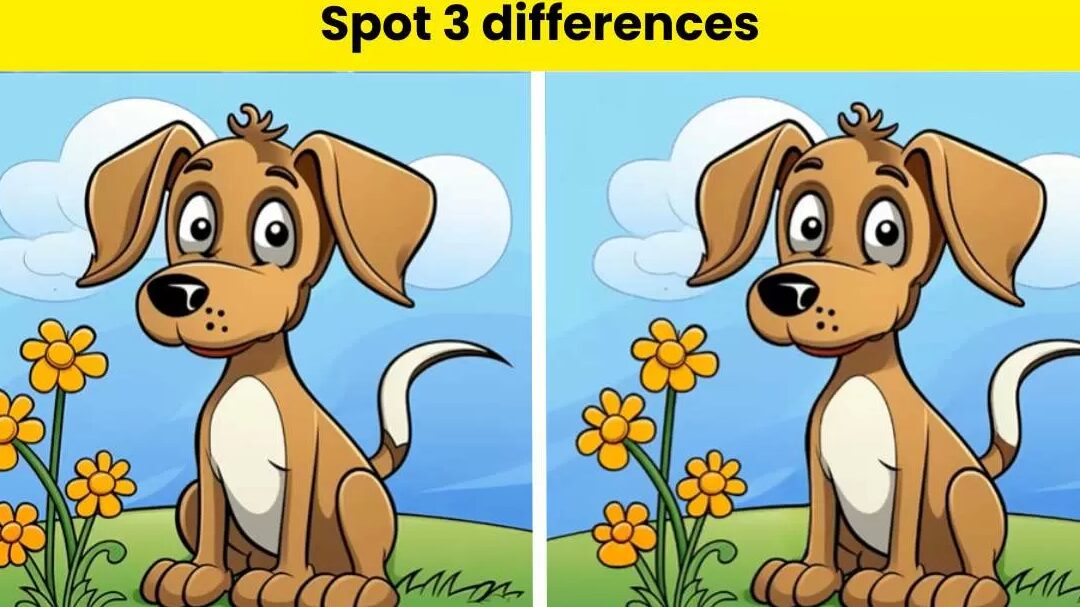 Cómo usar: todas las diferencias Cómo usar: todas las diferencias