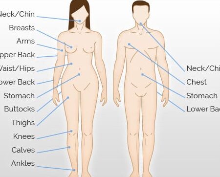 ¿Cuál es la diferencia entre el pecho y el pecho? – Todas las diferencias