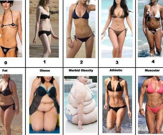 ¿Cuál es la diferencia entre gordito y gordo? (Útil) – Todas las diferencias