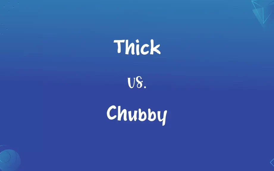 ¿Cuál es la diferencia entre grueso, gordo y gordito? – Todas las diferencias