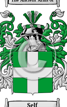 ¿Cuál es la diferencia entre nombre y yo y yo y nombre? (Hechos revelados) – Todas las diferencias ¿Cuál es la diferencia entre nombre y yo y yo y nombre? (Hechos revelados) – Todas las diferencias