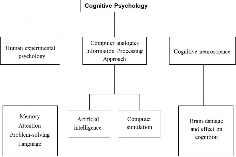 ¿Cuáles son las diferencias entre la psicología social y la psicología cognitiva? (Explicado) – Todas las diferencias