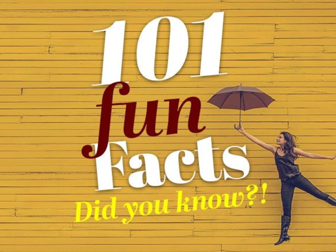 Datos que debe saber: todas las diferencias Datos que debe saber: todas las diferencias