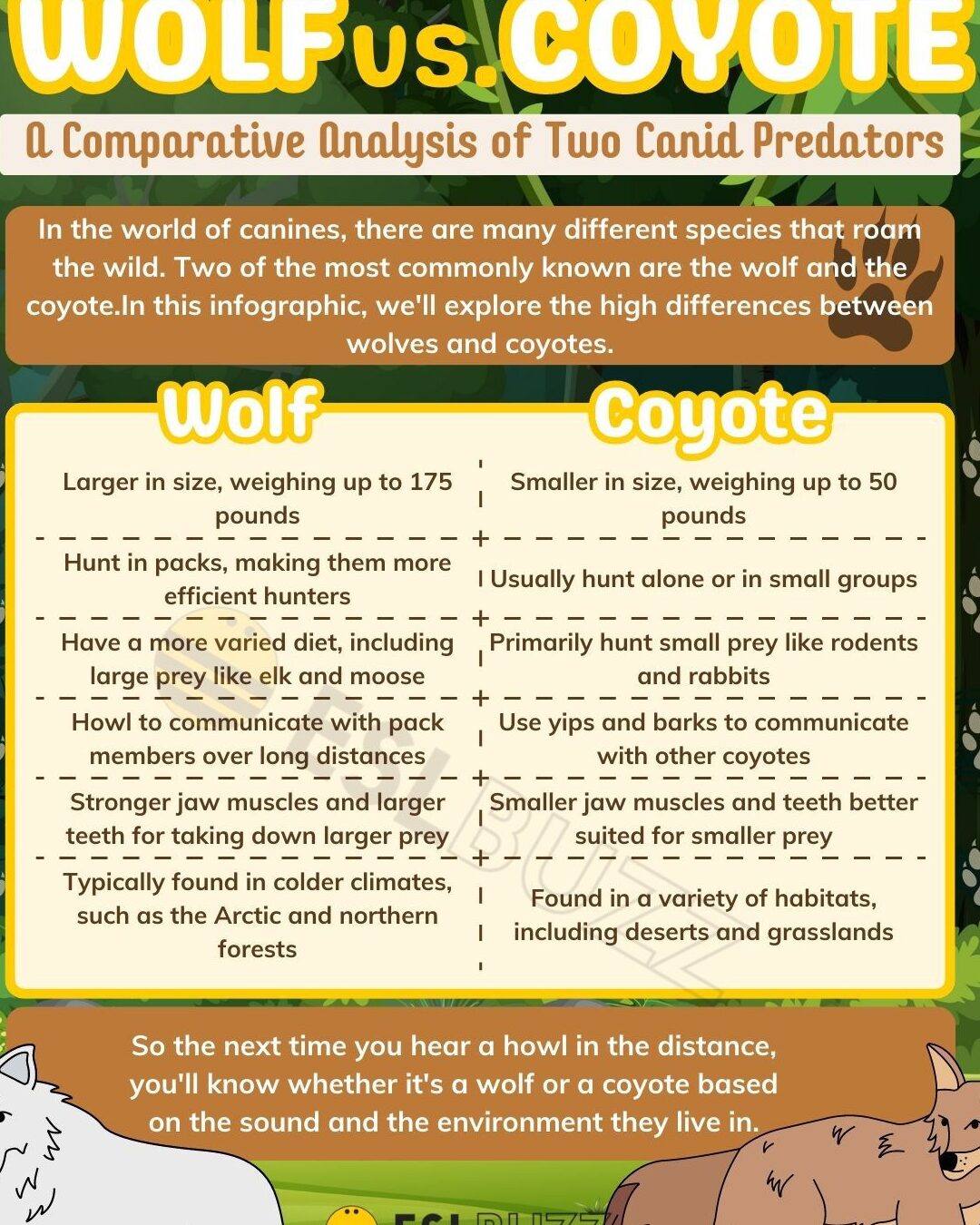 él contra Él: una comparación detallada: todas las diferencias