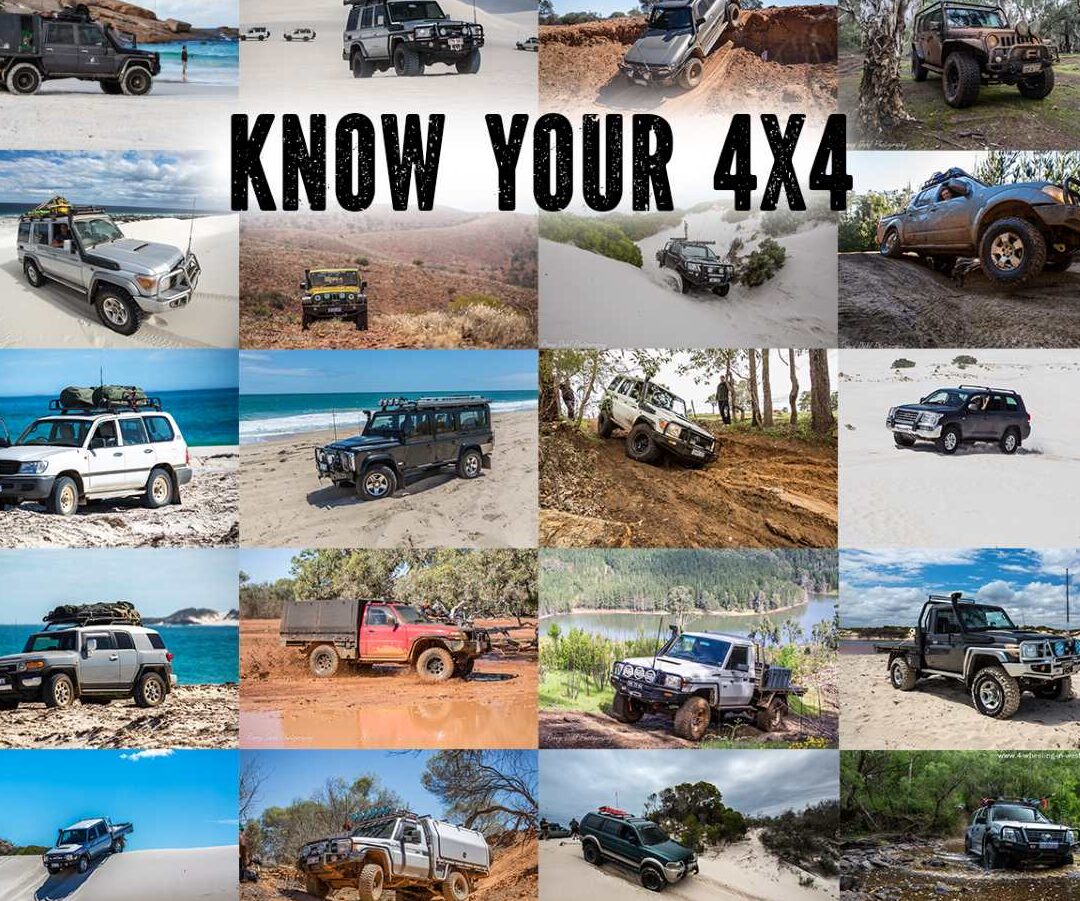 ¿Es lo mismo 4x4 que 4×4? (Encuentra la diferencia) – Todas las diferencias ¿Es lo mismo 4x4 que 4×4? (Encuentra la diferencia) – Todas las diferencias