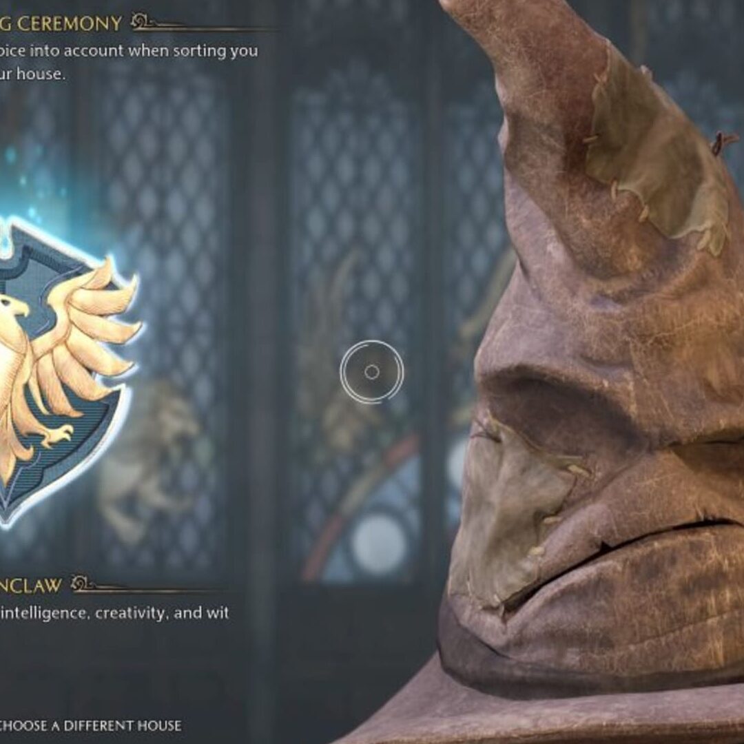 ¿Hay alguna diferencia entre Hufflepuff y Ravenclaw? – Todas las diferencias