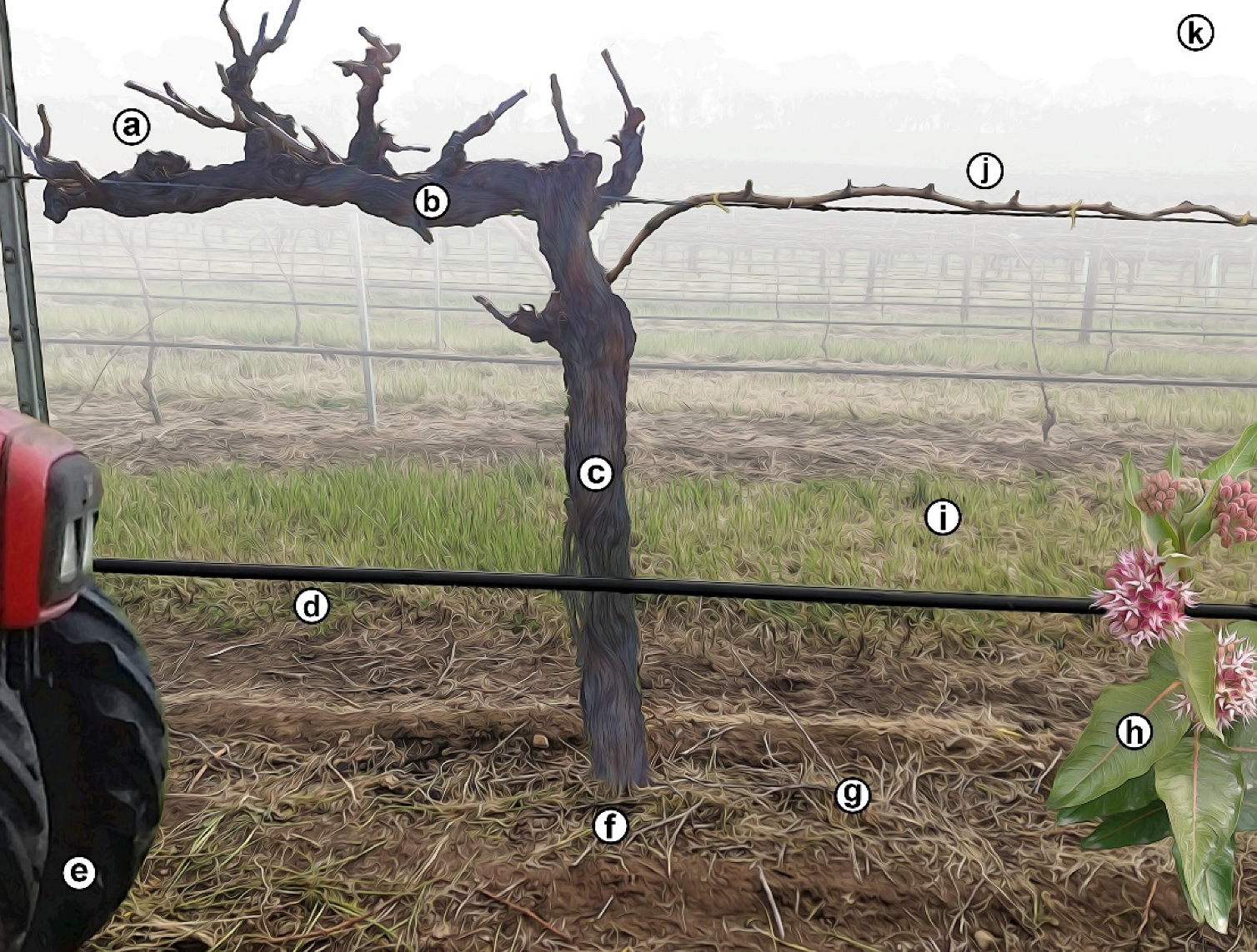 img#mv-trellis-img-6::before{padding-top:75%; }img#mv-trellis-img-6{display:block;}