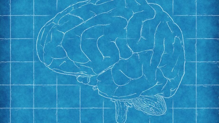 Polymath vs. Polyglot (diferencia explicada): todas las diferencias