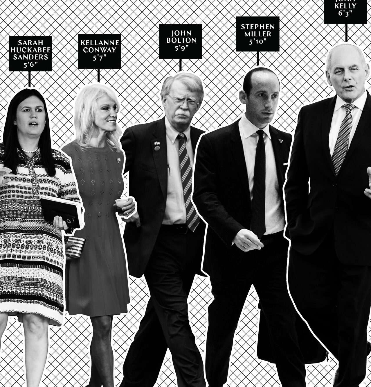 ¿Qué aspecto tiene una diferencia de altura de 5'10" y 5'6"? (Explicado) – Todas las diferencias