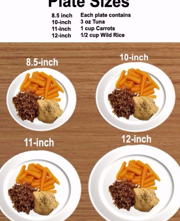 Saciado vs. Saciado (Diferencia Detallada) – Todas las Diferencias Saciado vs. Saciado (Diferencia Detallada) – Todas las Diferencias